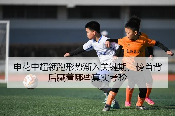 img_1780499188868_148_2_765.jpg